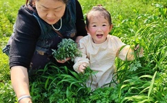 亚洲中文在线无码永久色情